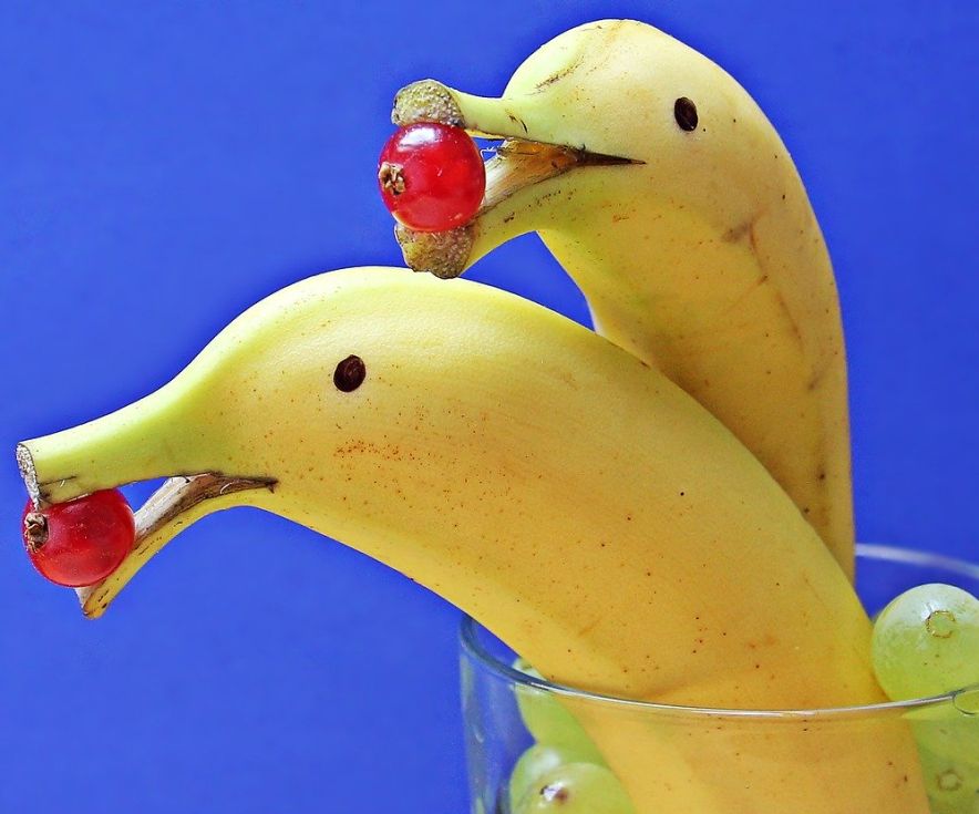 dolphin banana